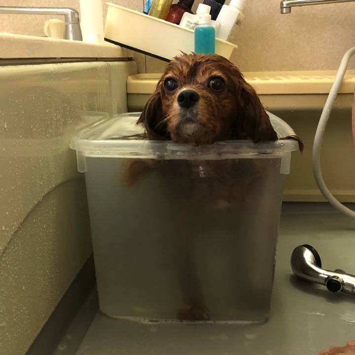 907600b5 5621 4f53 b0ca 2238ca847b22 1633131180564