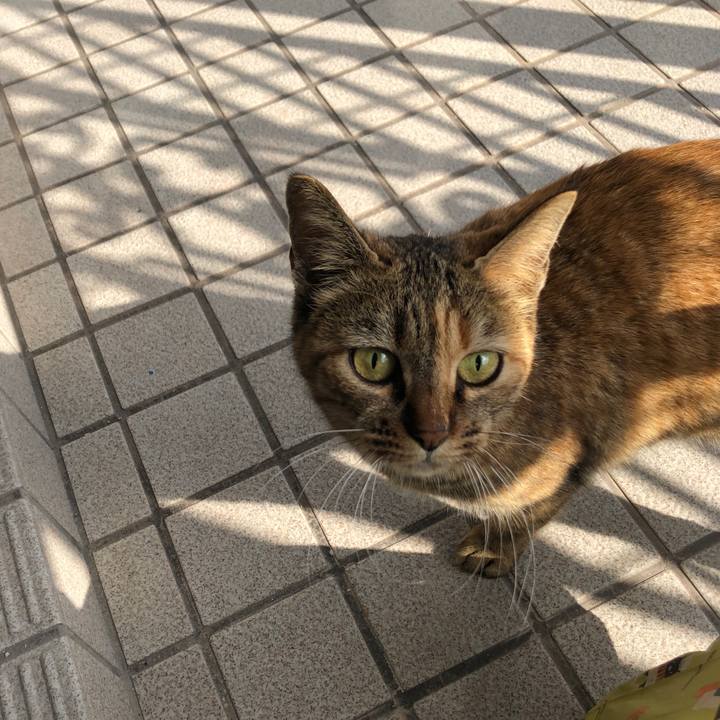 90761759 5406 4e77 8beb 0d7e11260d60 1580036869296