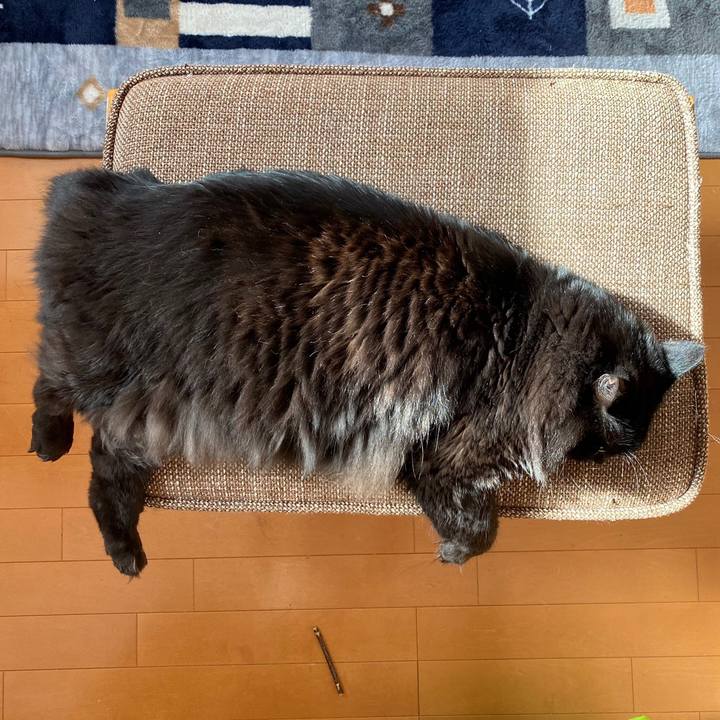 90764df3 4d72 41bc b890 0f8c1c8c1fde 1615076343870