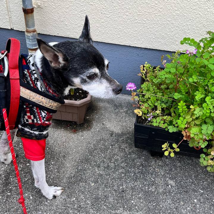 90765538 cfce 4895 9c22 561cc1892ea2 1647851038645