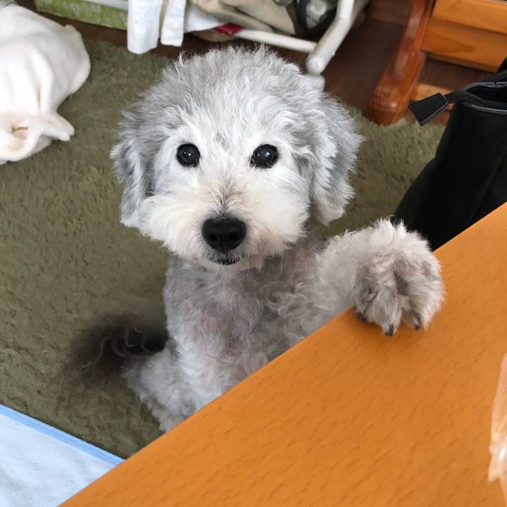 90765937 50ac 4c3c ab7b 5159f3c161f5 1536535505440