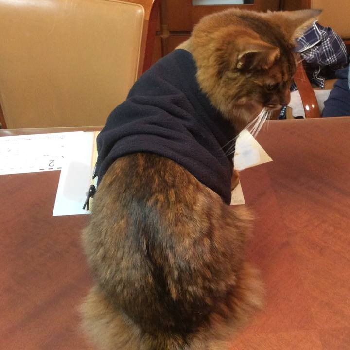 9076a1ad 4367 4d34 8ea2 9152a6747d5d 1614128344912