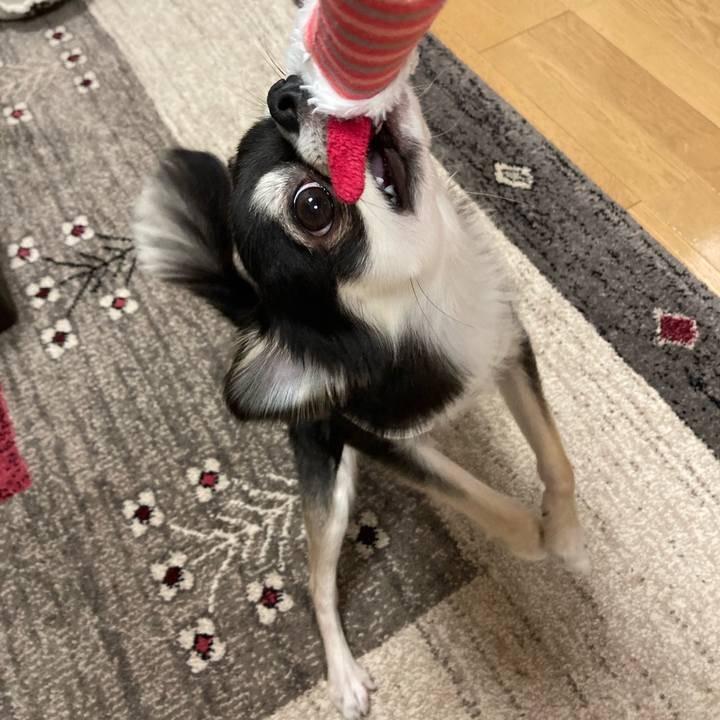 9076c154 b720 4d28 b11f 080938ac7283 1619271460077