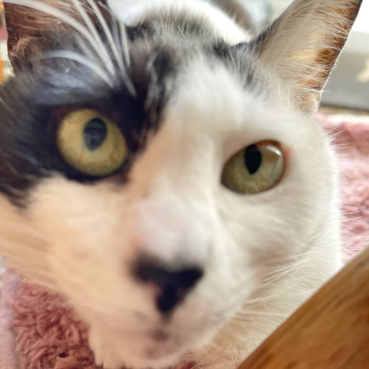 90770568 99ef 41e4 ae69 a97f7e991e85 1768356339025