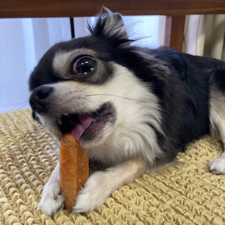 90774eb5 ea22 4e60 8c05 2eac6b7af8b1 1657943223131