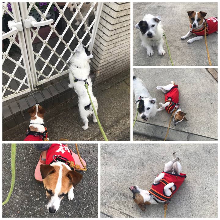 9077bfa7 b2f3 4adc 9d69 2c4e6584de12 1530176566930