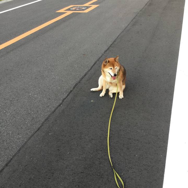 9077e584 9619 4dbc ba5d 9146e3e2cab4 1597138616820