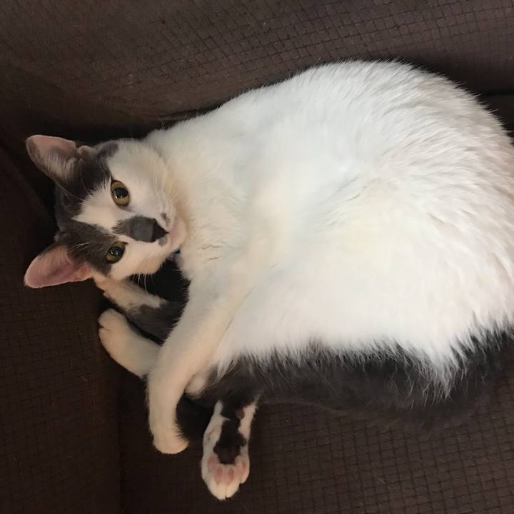 9077ec44 cef4 4dee a7ea f7831f5eca87 1557273769122