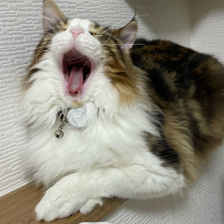 9078356c 419d 4845 8ace ba05bbcf43c3 1641846440875