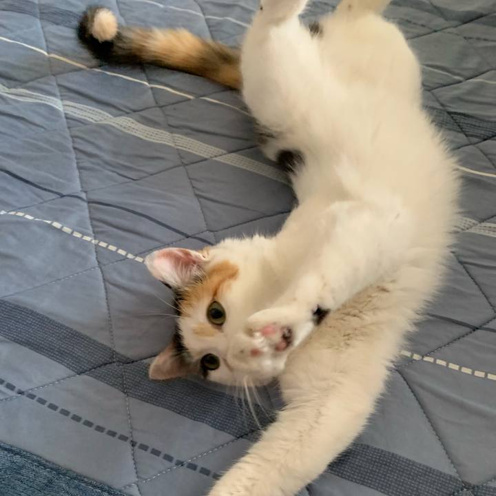 90785ffa 17b8 4742 8b47 566f4701cfb6 1750889571961