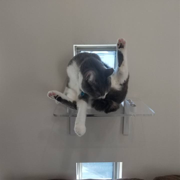 90786357 9507 4edd 8e91 31b1112fd5bf 1642304284360