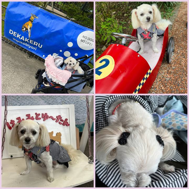 90786cc6 705a 4241 b61d 281276806862 1694329770317