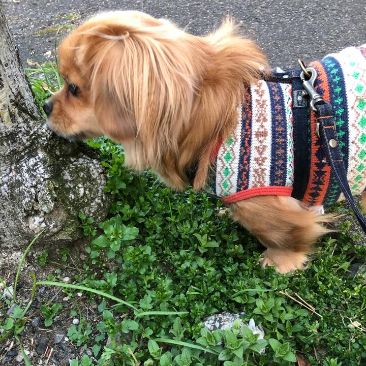 90786eef 2cc7 4782 9bd9 96d6f6764435 1520896162696