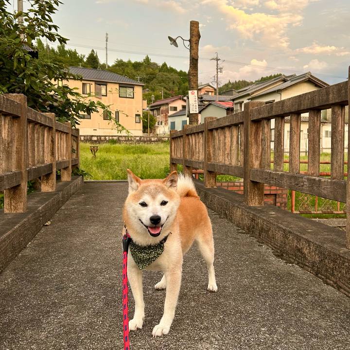 90788791 2072 4e95 99b0 c6b5e4b1cbe0 1756375749246