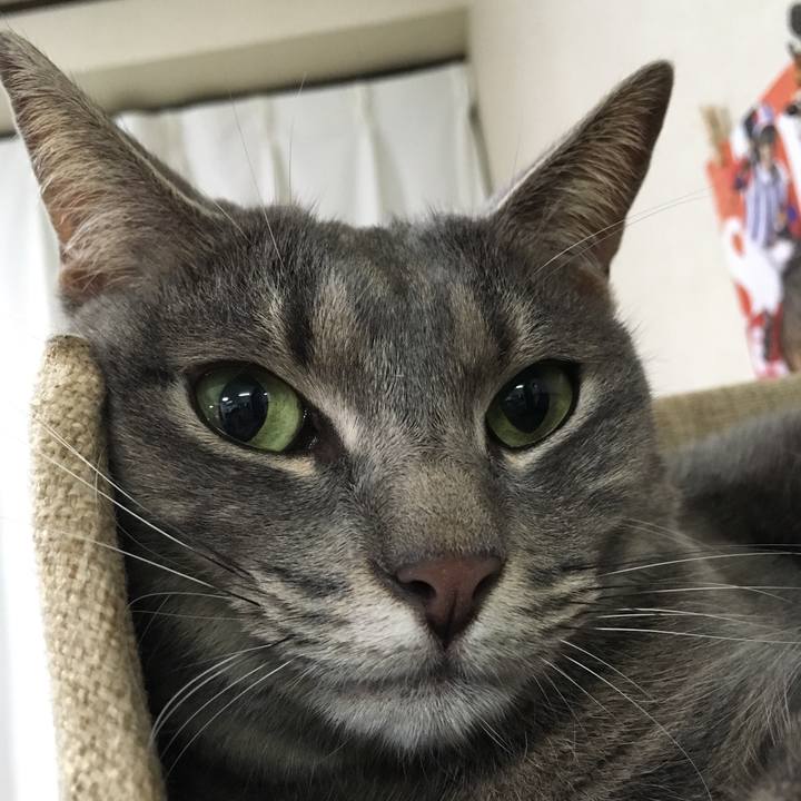 9078b48a 1f65 49fb b0b8 8a06f9f7f542 1565220885509