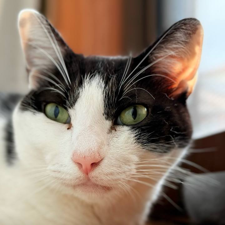 9078bdd7 b3f9 4889 9c04 73796df1264a 1730767431012