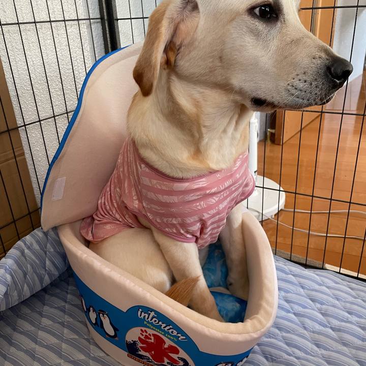 9078c254 0fcf 4859 9f3a e56a5d093533 1624094657207