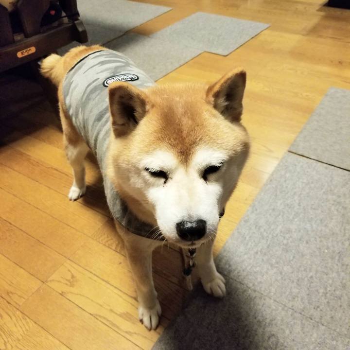 9078c65a 4236 472a b33d 665277b09044 1645175511400