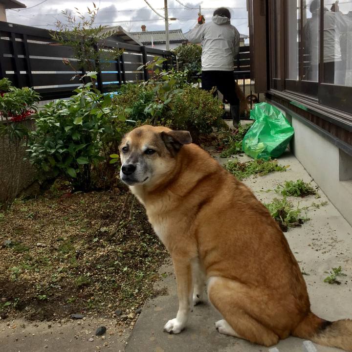 9078da8c 832b 43b4 8dfd c377cac19e7e 1577501066782