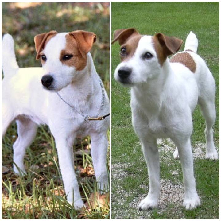 9078e84e ea79 4524 b4d0 341fca7d14cc 1624183354309