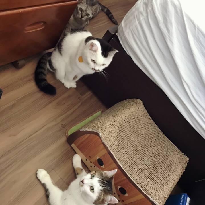 90793493 4bf3 4e59 bd7a 57fa8c0ed89f 1600323572343