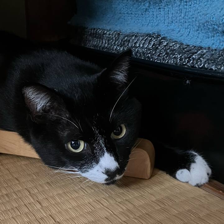 90796637 f050 4941 95b2 7c3fc73303c6 1727666309034