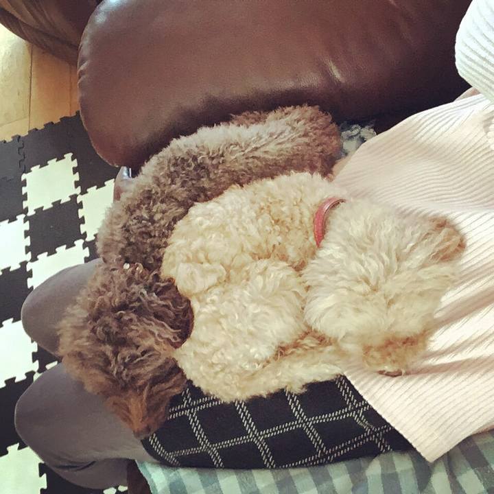 9079872c b407 4507 add1 9c3f6987073b 1546786631768