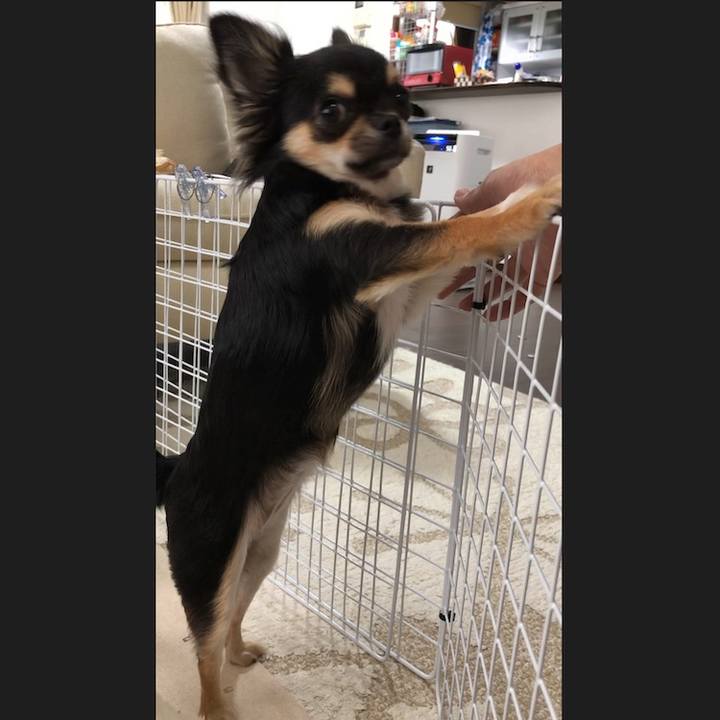 90798c7c cc74 45da 8200 582dc648ffe2 1545267421225