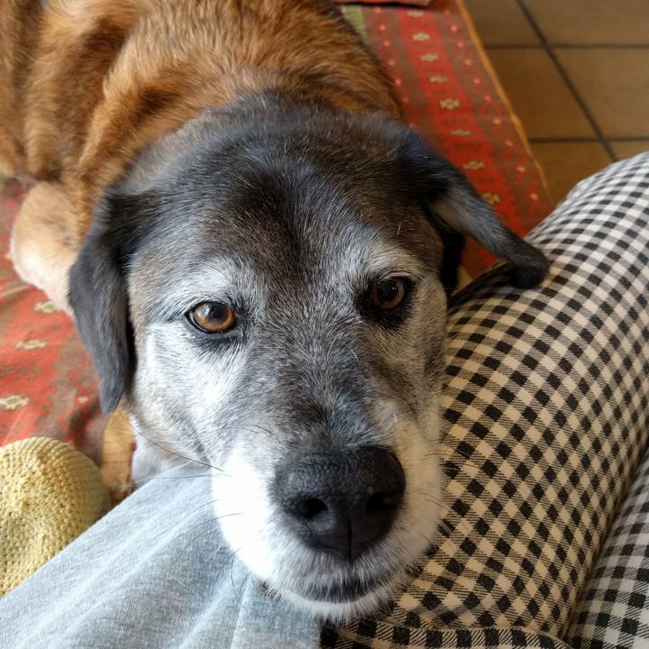 90799242 d56e 439e be25 461557d460b5 1586052548935