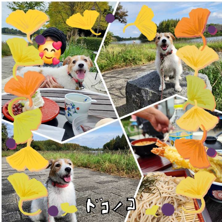 9079c2f1 e05d 4a5a 8875 5571b55b4b8e 1730070706912