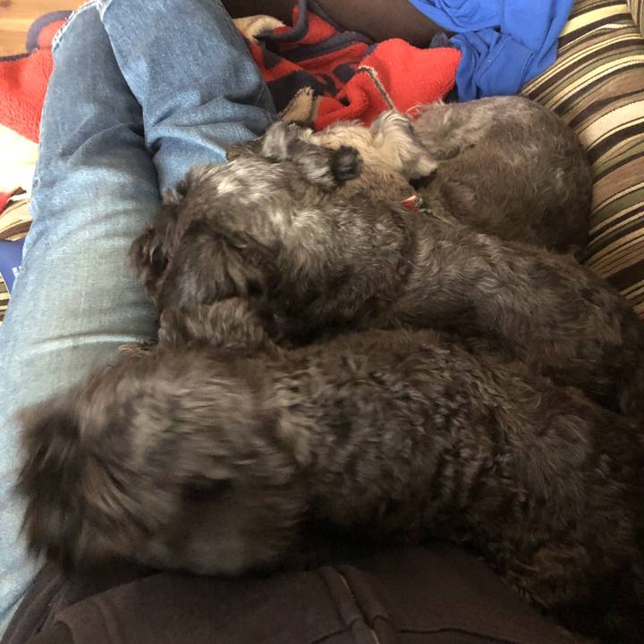 9079c546 d6c6 4985 810c 63ecbba3ced2 1586928805230