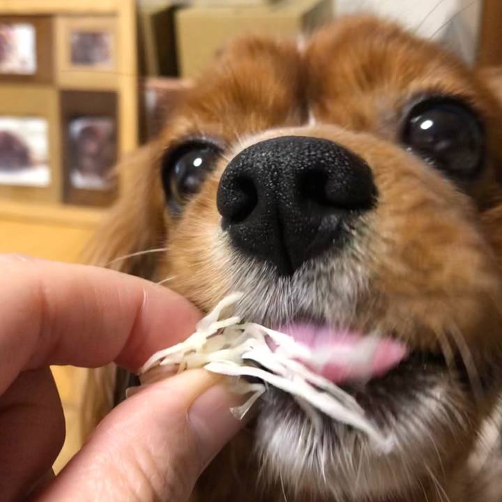 9079d672 e9b6 4aba 829e a96dd4cd1009 1569934597684