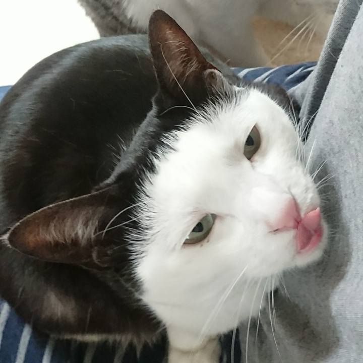 9079e96d 7641 4fcd 9e6a 4386b4c8cc5c 1524533994925