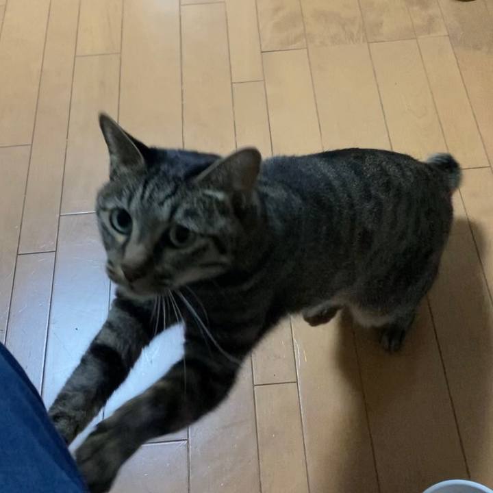 907a0bec aeb7 4485 82b3 e9588543bb3e 1669276298939