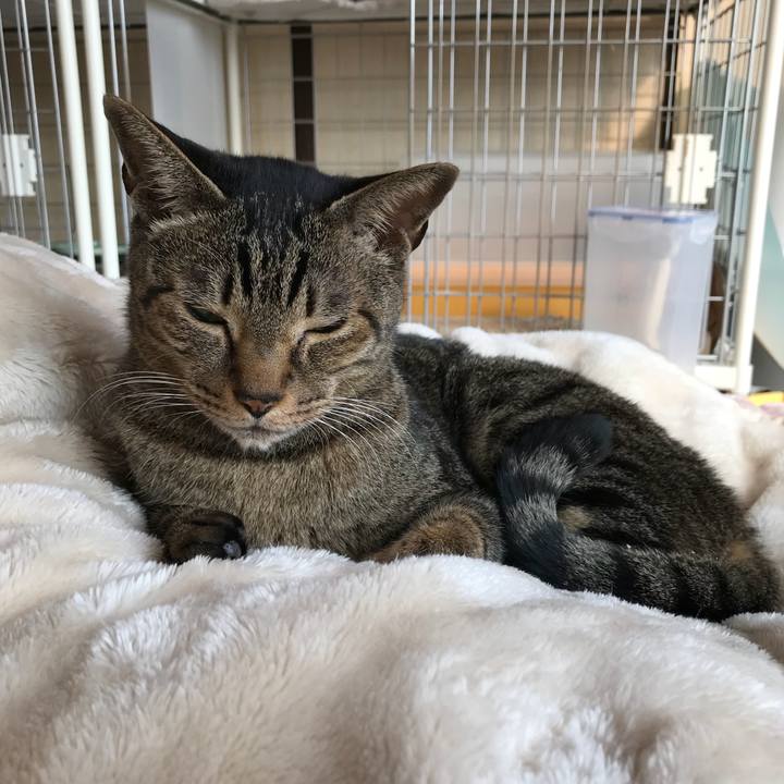 907a1d1c ced9 4245 989f 7523a3f54729 1519262638226