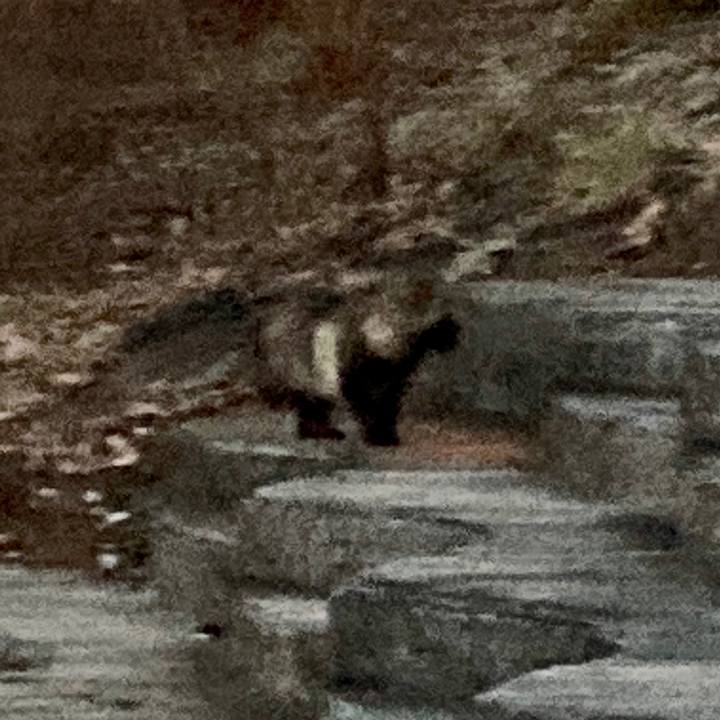 907a6448 7384 4af5 bd06 8c586e99de97 1640766398177