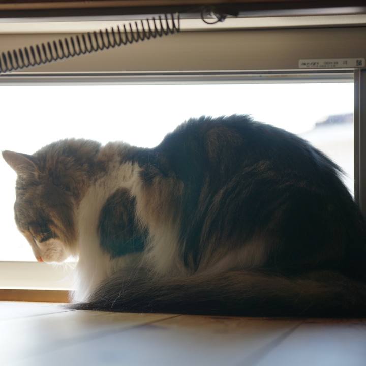 907a9161 2d7f 4ad1 bb79 bab92b9667aa 1554439815875