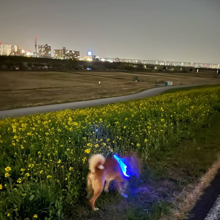 907ac3c1 c96a 4cf1 9cf8 435d1993e179 1678445492567