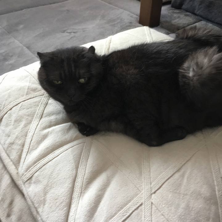 907acb16 bfb3 4868 9c25 ed202cbccbac 1564198727052