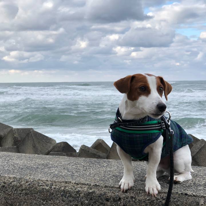 907acdea 9a82 4582 9551 f2945759df97 1546238660498