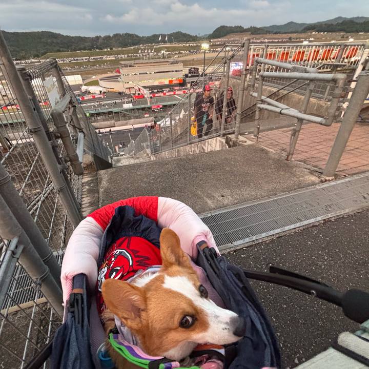 907ae4b8 8baa 4f2f b6d8 3378b9f1fcf2 1758876080105