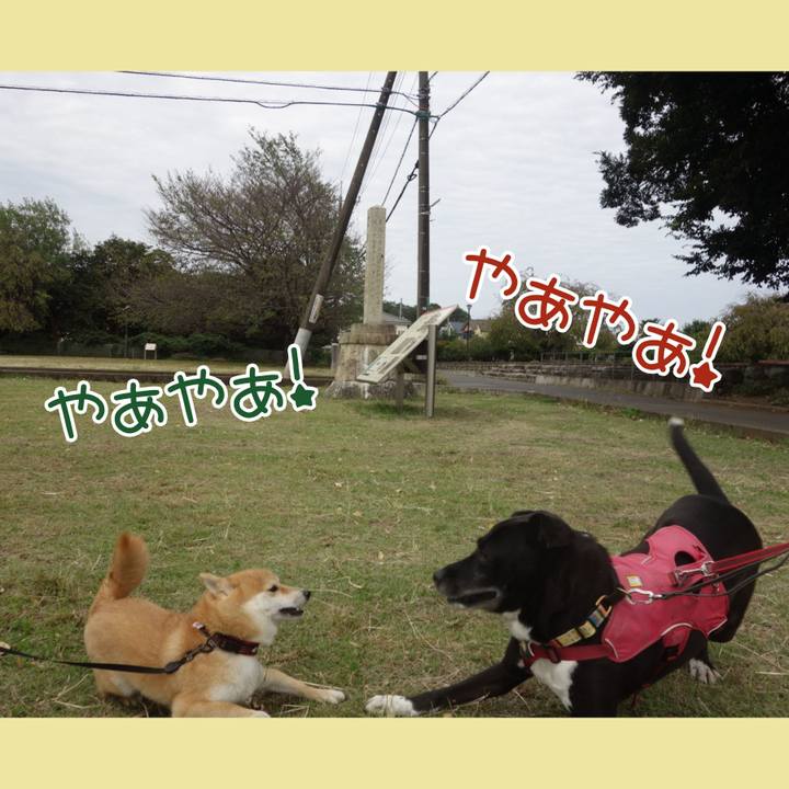 907b0688 7824 4e93 a9db e8fc7d3ba339 1696729135896