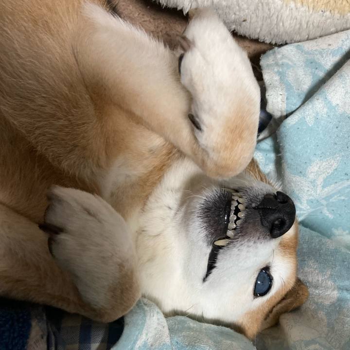 907b0dfb c7a9 40b0 998c fcc2cc6bc90e 1736582299999