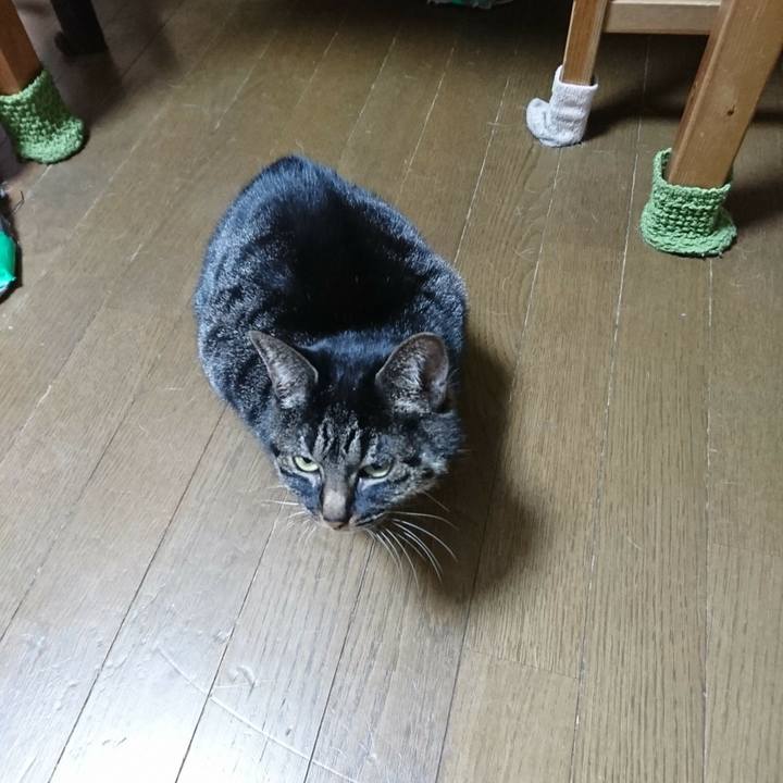 907b215b e15d 4f0c a8a0 9ebfcf50c4fa 1513518567124