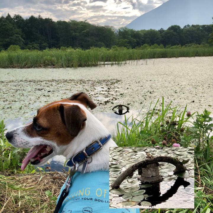 907b2c40 a913 4fe7 978c 1e2177b9f4ed 1597054559887