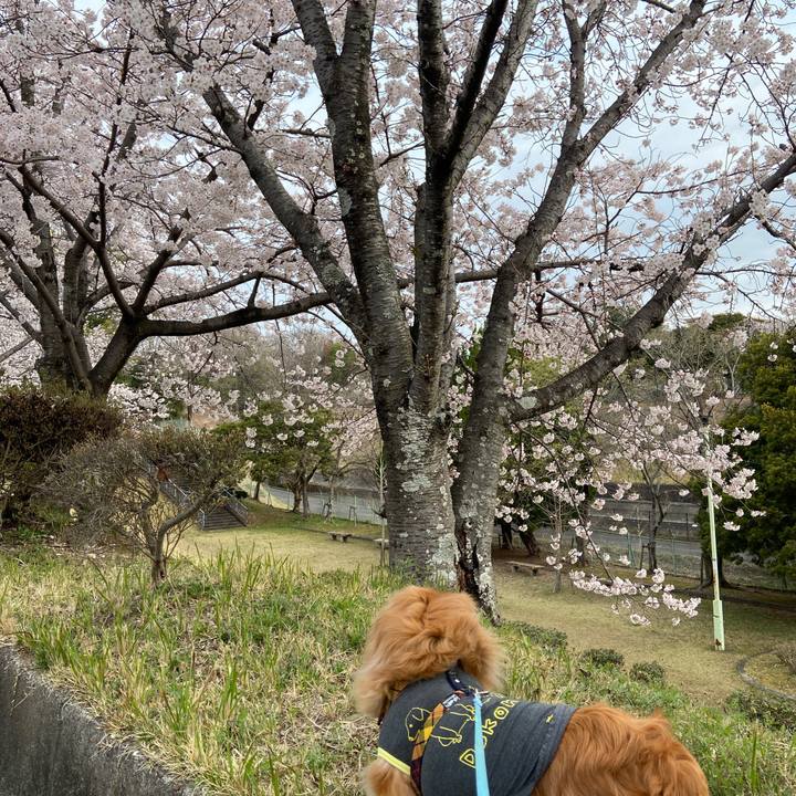 907b65ba 7c7f 4fbc a194 e0dd8541d7c7 1648681805305