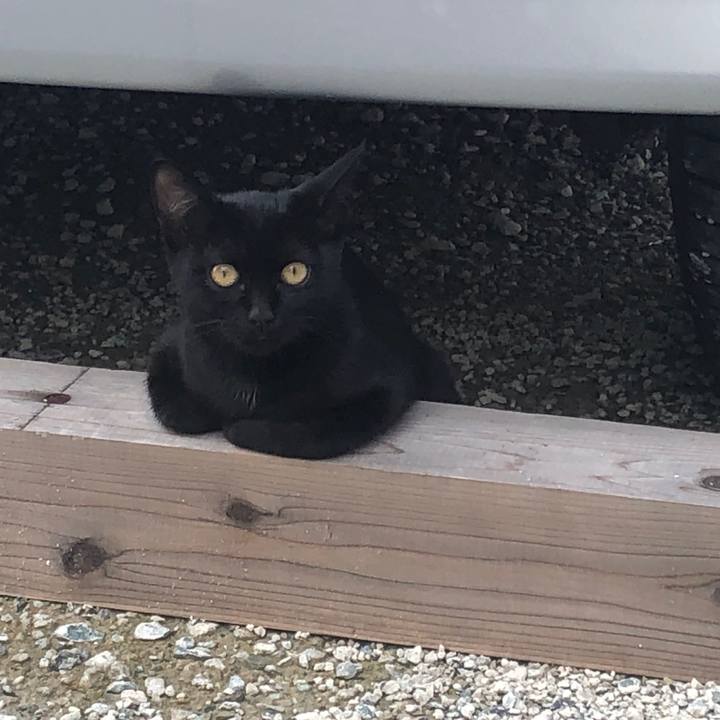 907b894f ee51 44d7 a024 13f8dc57b13b 1630031138880