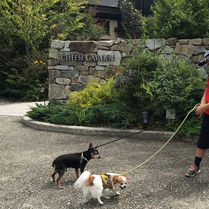 907ba7b7 5f94 4738 ba78 30826a0fb752 1566717872209