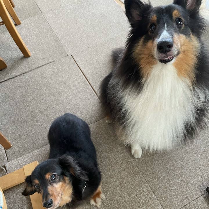 907bc78b 8fb7 49fe 9703 dab3155c228b 1630965969748