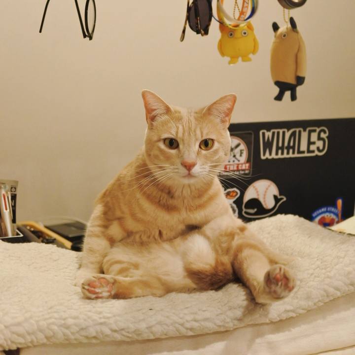 907bdd59 cb59 4f11 a78c 17535c0e320c 1617272207764